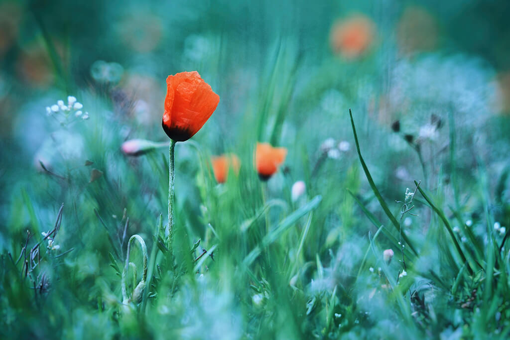 City Heart Tailor